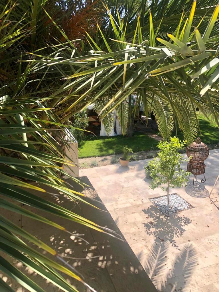 Villa Pauline Avignon Buitenkant foto